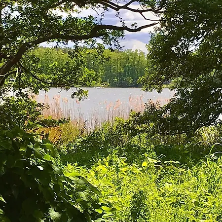 Finnhuette-seeblick-an-der-elbe *