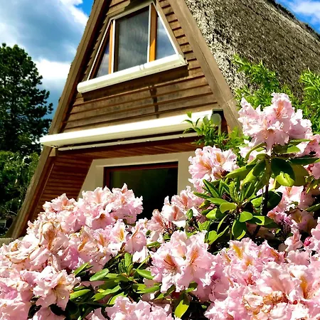 בית נופש Finnhuette-seeblick-an-der-elbe Lenzen