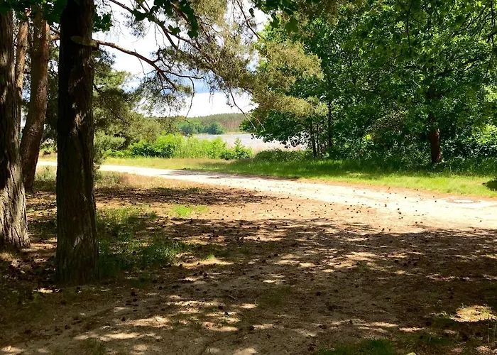 Finnhuette-seeblick-an-der-elbe *