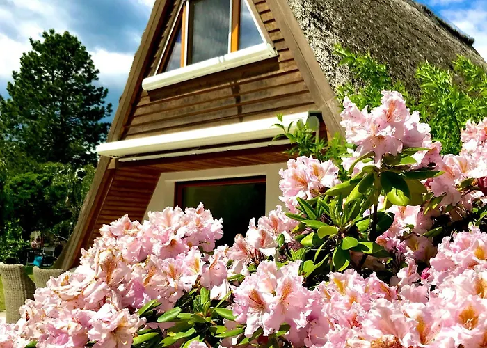 بيت للعطل Finnhuette-seeblick-an-der-elbe Lenzen