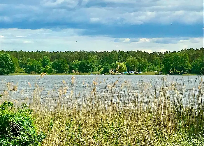 Finnhuette-seeblick-an-der-elbe بيت للعطل